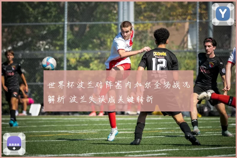 世界杯波兰对阵塞内加尔全场战况解析 波兰失误成关键转折