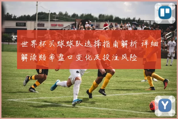 世界杯买球球队选择指南解析 详细解读赔率盘口变化及投注风险